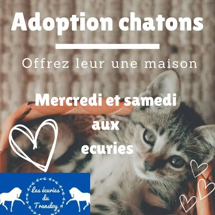 Image de la publication Facebook