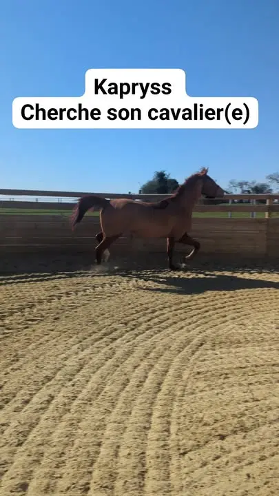 Image de la publication Facebook