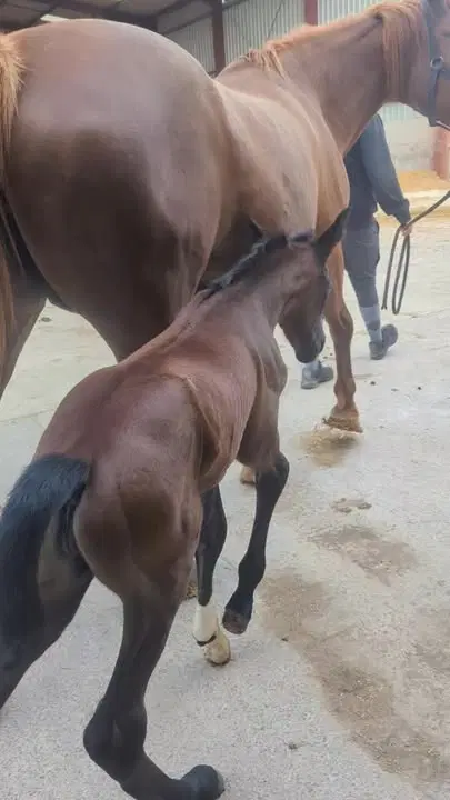 Image de la publication Facebook