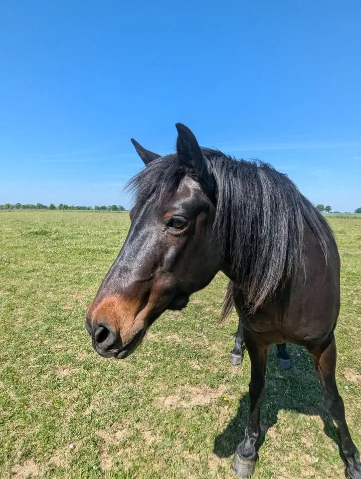 Image de la publication Facebook