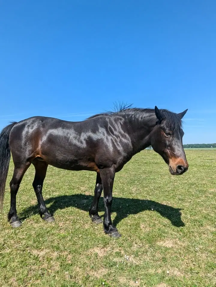 Image de la publication Facebook