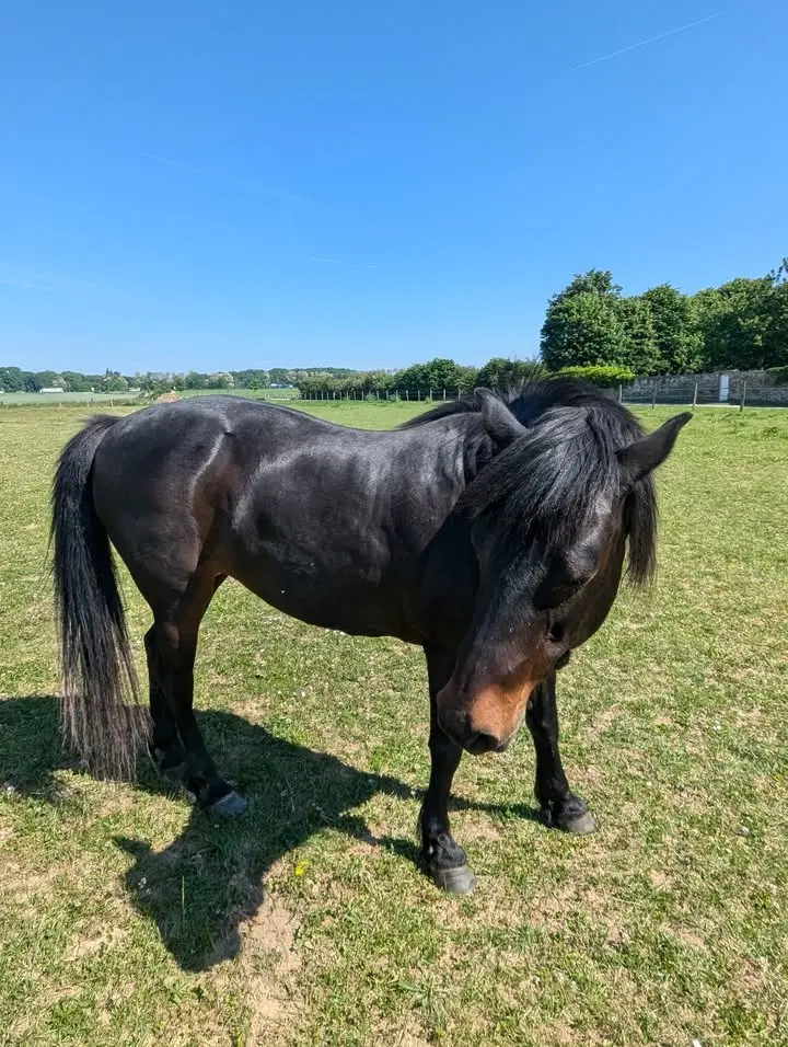 Image de la publication Facebook