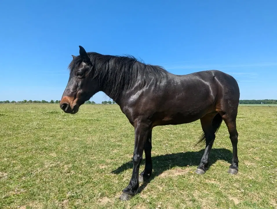 Image de la publication Facebook