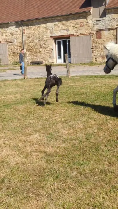 Image de la publication Facebook