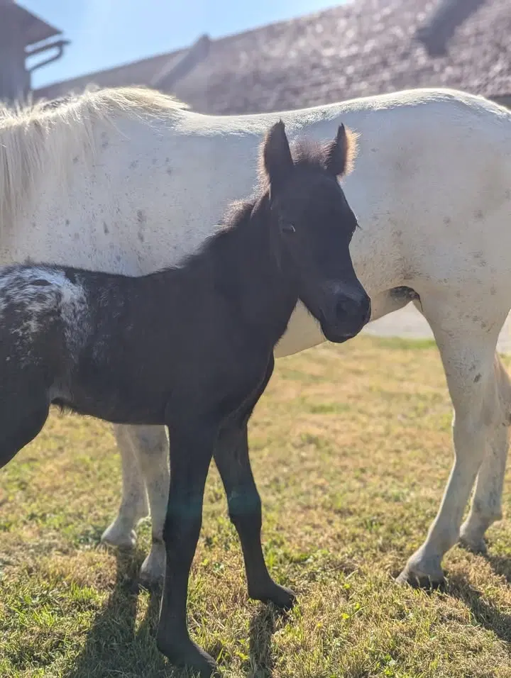 Image de la publication Facebook