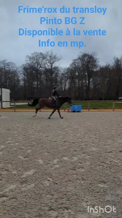 Image de la publication Facebook