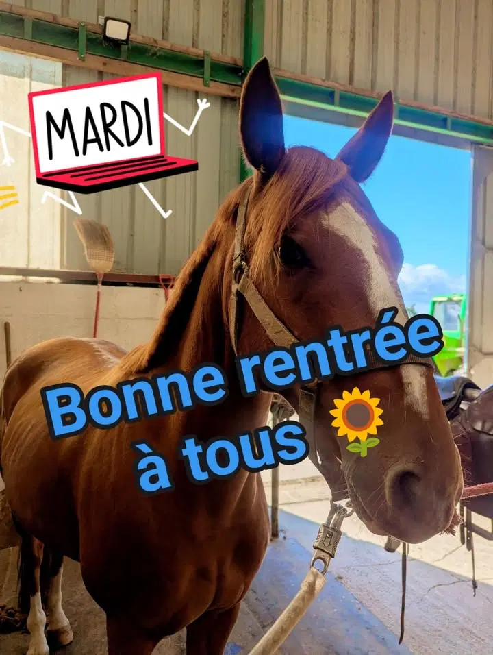 Image de la publication Facebook