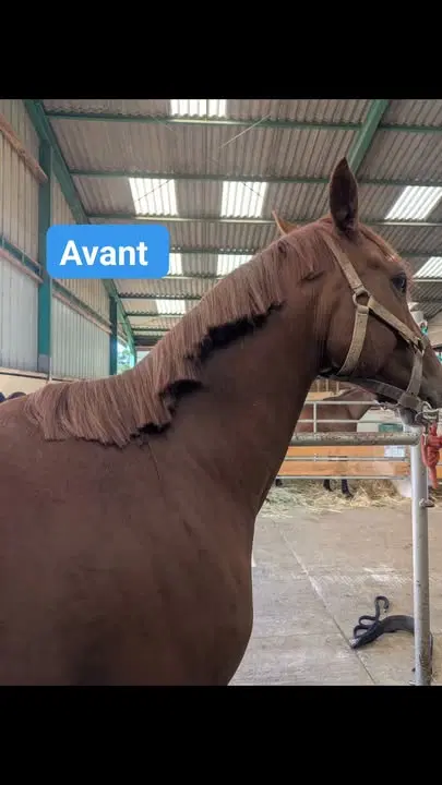 Image de la publication Facebook