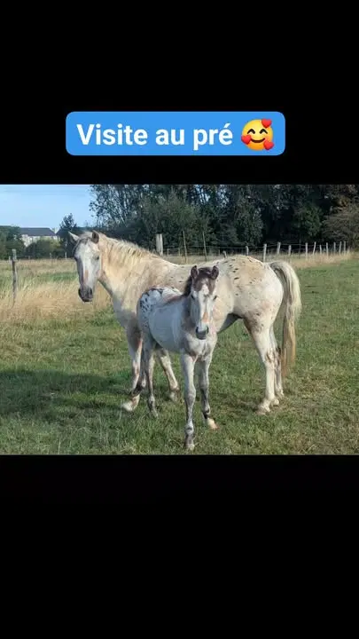 Image de la publication Facebook