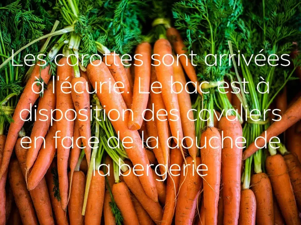Image de la publication Facebook